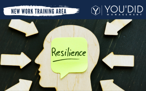 Tagesworkshop: Resilienz und mentale Stärke im Arbeitsumfeld